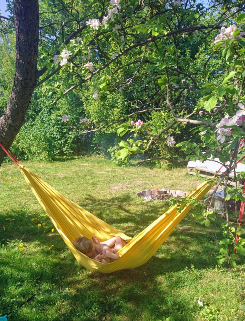 Kids playing in a hammock