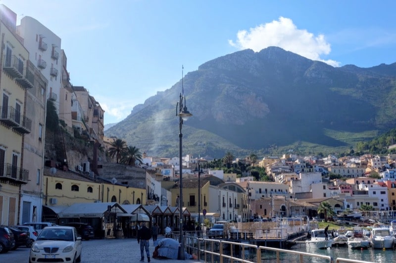 Castellammare Del Golfo Lemons And Palmtrees