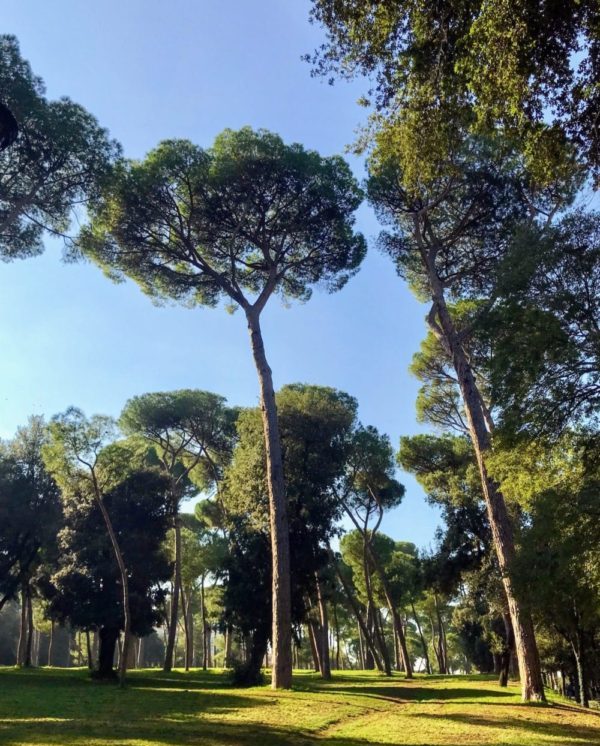 Villa Borghese Rome