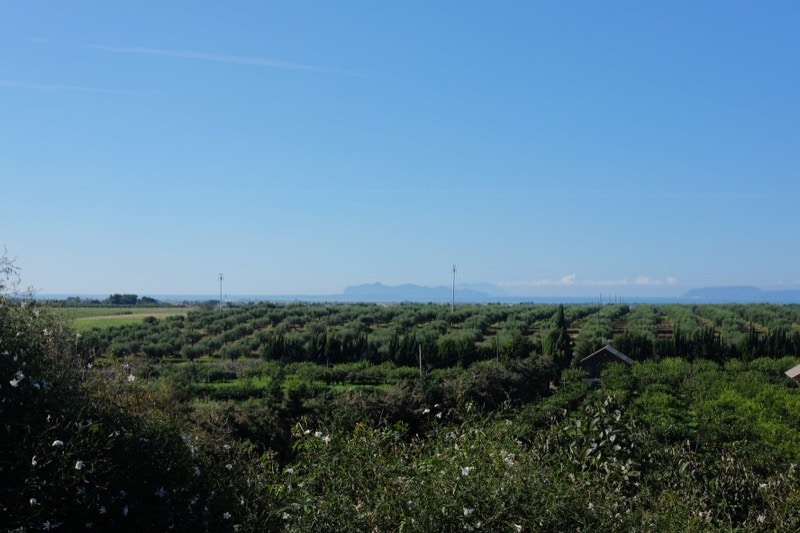 View towards Marsala from Agriturismo Vultaggio