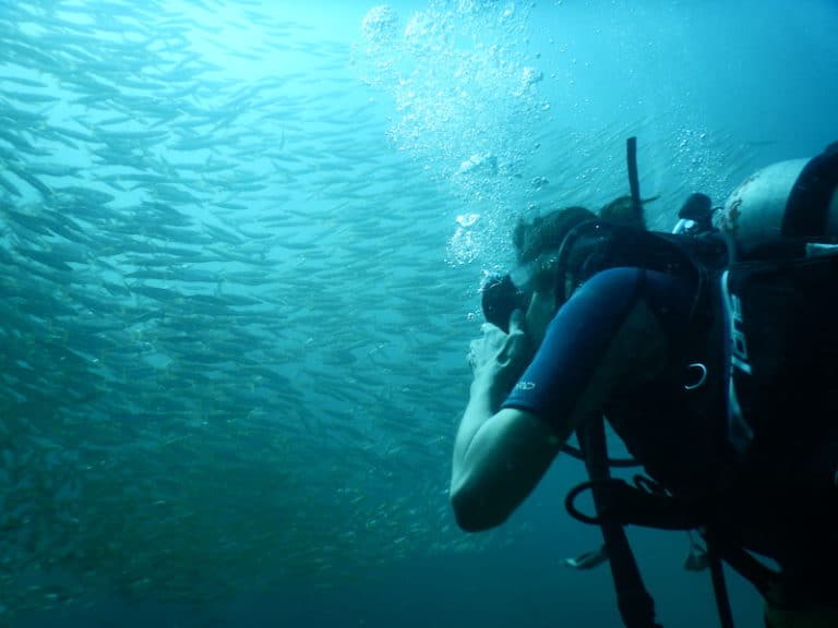 Diving in Krabi Ao Nang