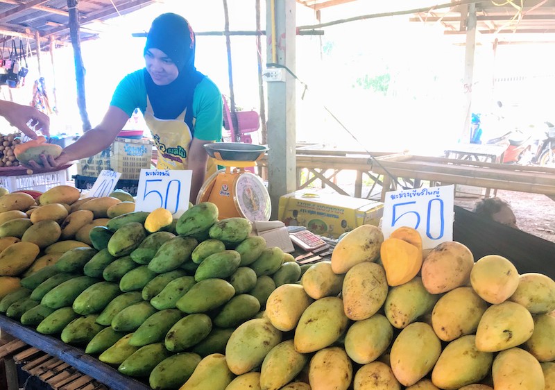 We were offered tasting of the different mangoes before buying them.