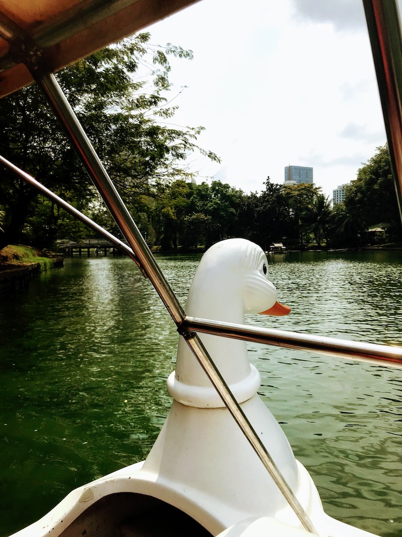 Sailing in a swan at Lumpini Park lake Bangkok