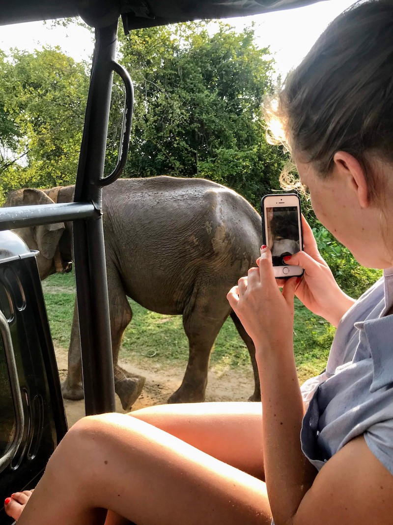 Taking picture of Elephant close by