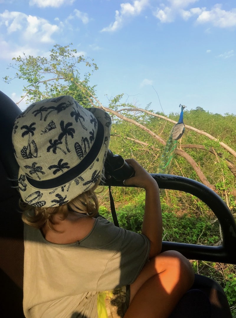 kid looking at Peacock