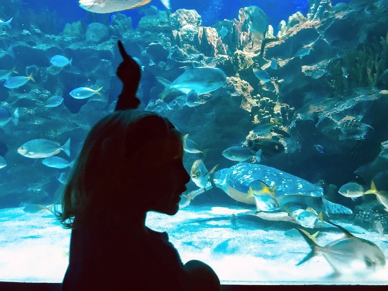 Aquaria KLCC, Kuala Lumpur