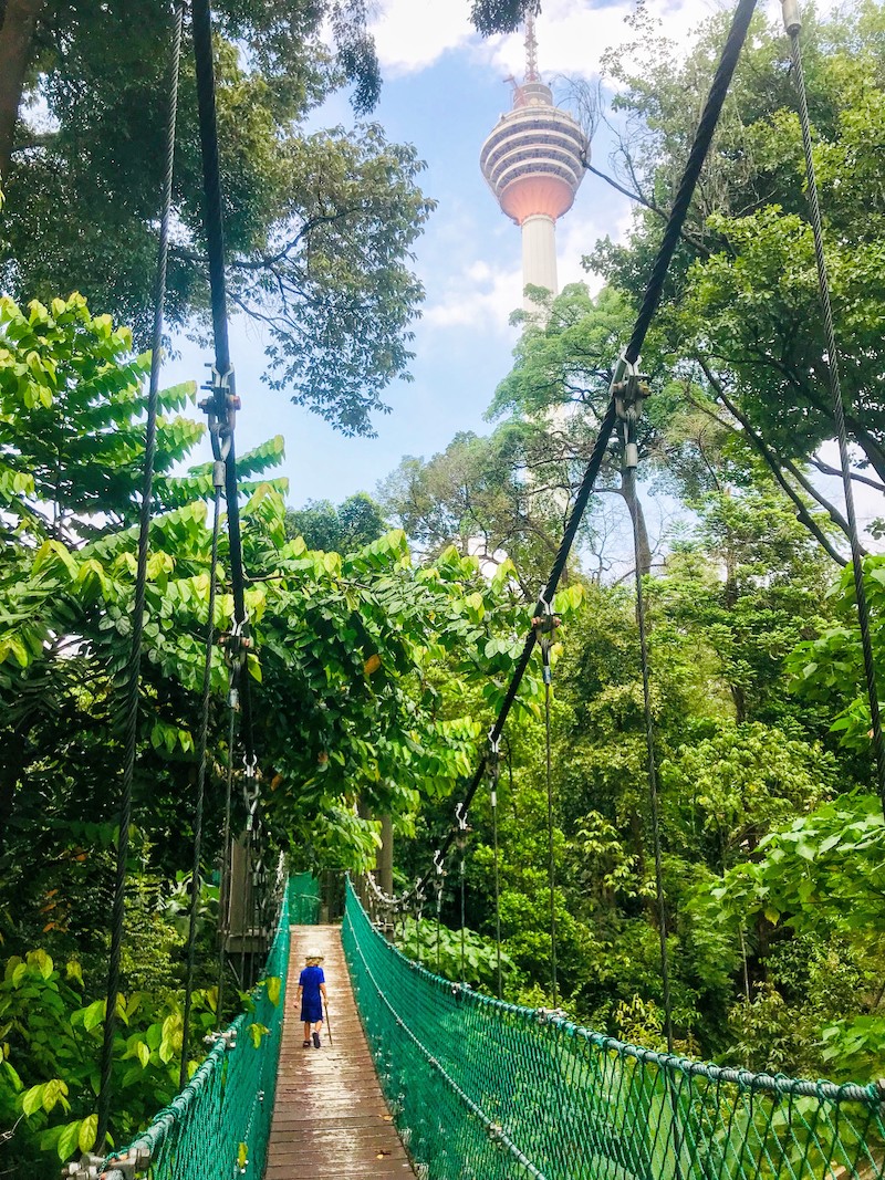 Canopy walk in KL Forest ECO Park