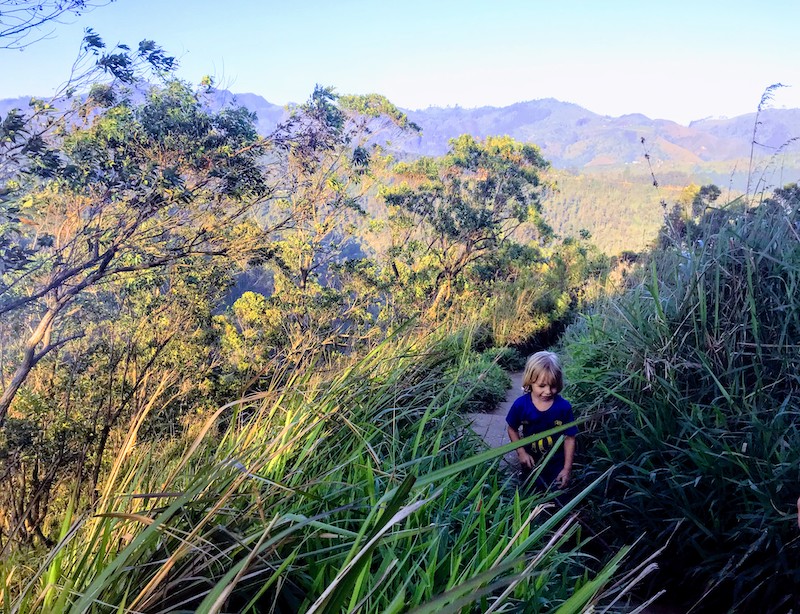 Kid Hiking