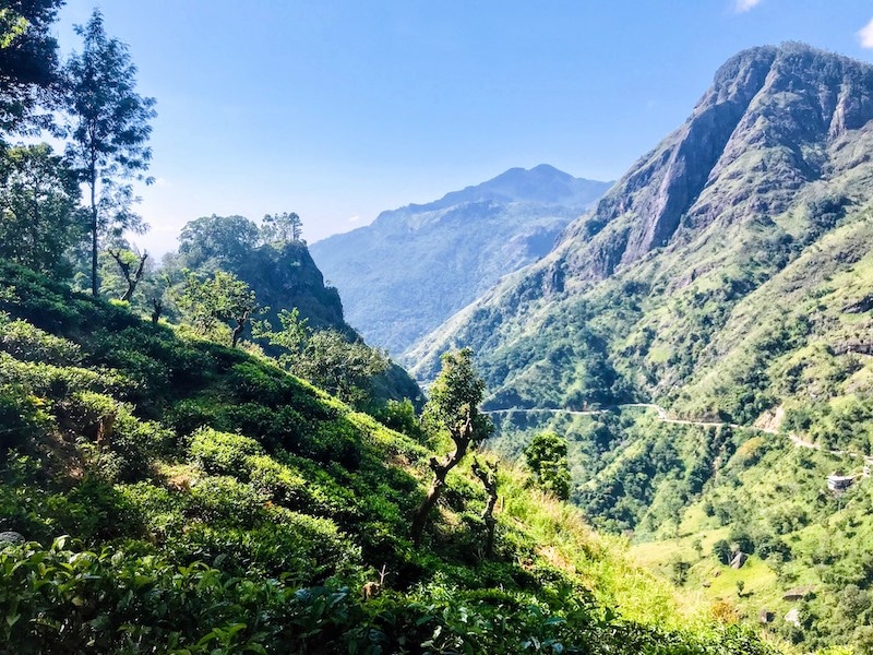 View of landscape Ella Sri Lanka