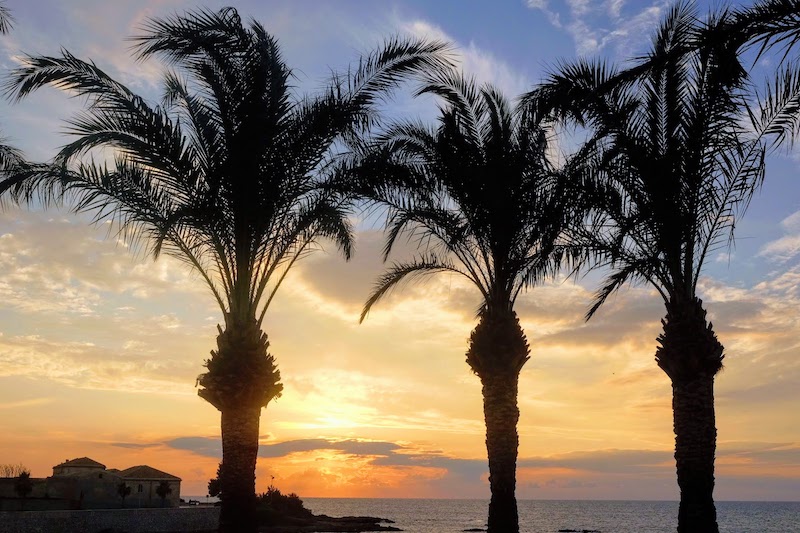 Palmtrees and ocean view Marsala